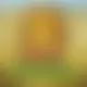 Zagraj Mega Moolah z Games Global w {"id":63,"name":"Nomini","design":{"logo":"nomini-logo-QdAXxZ.svg","favicon":"nomini-favicon-LQOQWm.png","banner_poker":"nomini-poker-Bc6tYI.webp","banner_mobile":"nomini-mobile-avRzn0.webp","block_bg_color":"#404040","image_bg_color":"#262626","banner_bg_color":"#f8fafc","block_text_color":"#ffffff","primary_bg_color":"#e0f2fe","banner_text_color":"#404040","footer_logos_type":"black","block_round_radius":"0.75rem","primary_text_color":"#404040","button_round_radius":"0.75rem","banner_welcome_bonus":"nomini-welcome-bonus-3HCjlL.webp","primary_button_bg_color":"#0ea5e9","primary_button_text_color":"#fff","secondary_button_bg_color":"#7dd3fc","secondary_button_text_color":"#fff"},"created_at":"2025-05-14T09:25:22.000000Z","updated_at":"2025-05-14T09:25:22.000000Z","deleted_at":null}