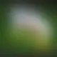 Zagraj Let It Ride z Playtech w {"id":63,"name":"Nomini","design":{"logo":"nomini-logo-QdAXxZ.svg","favicon":"nomini-favicon-LQOQWm.png","banner_poker":"nomini-poker-Bc6tYI.webp","banner_mobile":"nomini-mobile-avRzn0.webp","block_bg_color":"#404040","image_bg_color":"#262626","banner_bg_color":"#f8fafc","block_text_color":"#ffffff","primary_bg_color":"#e0f2fe","banner_text_color":"#404040","footer_logos_type":"black","block_round_radius":"0.75rem","primary_text_color":"#404040","button_round_radius":"0.75rem","banner_welcome_bonus":"nomini-welcome-bonus-3HCjlL.webp","primary_button_bg_color":"#0ea5e9","primary_button_text_color":"#fff","secondary_button_bg_color":"#7dd3fc","secondary_button_text_color":"#fff"},"created_at":"2025-05-14T09:25:22.000000Z","updated_at":"2025-05-14T09:25:22.000000Z","deleted_at":null}